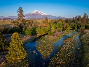 Aerial view of Parks Creek with Mount Shasta in the background. 