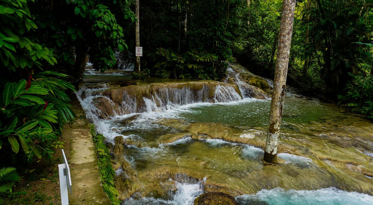 A waterfall in the jungle.