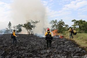 Two people in matching fire outfits stand in a field of burned black grass while two other people walk around the burn perimeter.