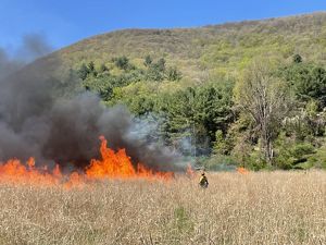 A fire burns in a grass field as a person in yellow fire gear monitors the flames. 