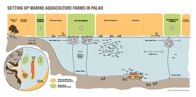 A new mapping tool, developed TNC in collaboration with Palau’s Bureau of Marine Resources, helps identify the best locations for new aquaculture projects.