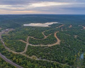 Aerial view of an expanse of green forest and twisting dirt roads with a lake in the middle.