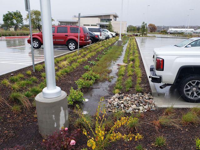 Rainwater trickles from a concrete parking lot with cars into a long planted strip, where it collects in the center.