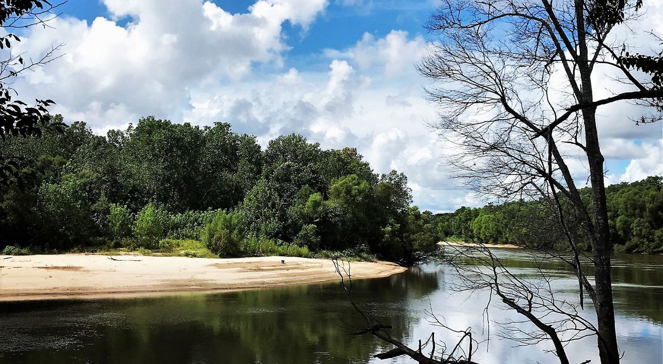 The Pascagoula River lined with green deciduous trees.