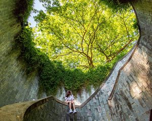 Singapore is known for its beautiful green spaces throughout the city.