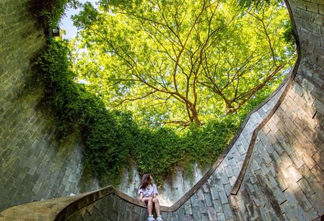 Singapore is known for its beautiful green spaces throughout the city.