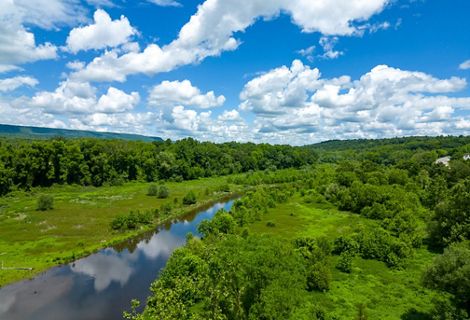 Aerial view of the winding Delaware River amidst a green, forested landscape.