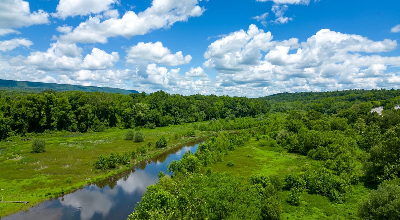Aerial view of the winding Delaware River amidst a green, forested landscape.