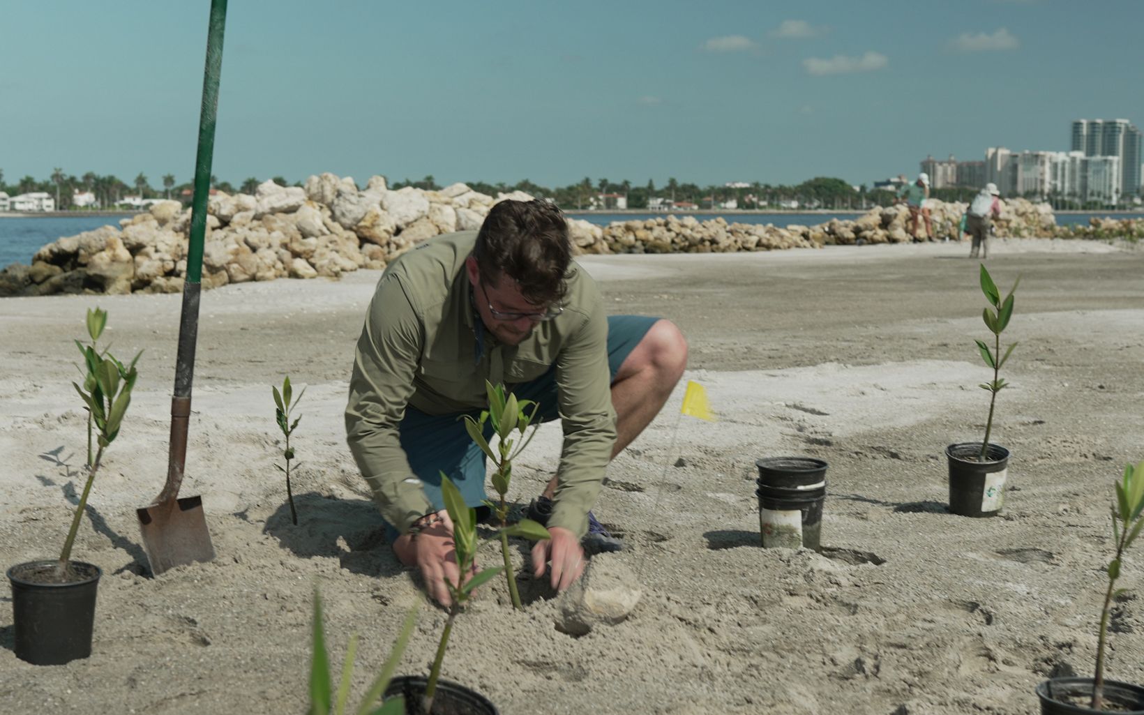 Mangrove Planting Mangroves were planted at the Palm Beach Resilient Island to improve coastal resilience. © Michael Landsberg
