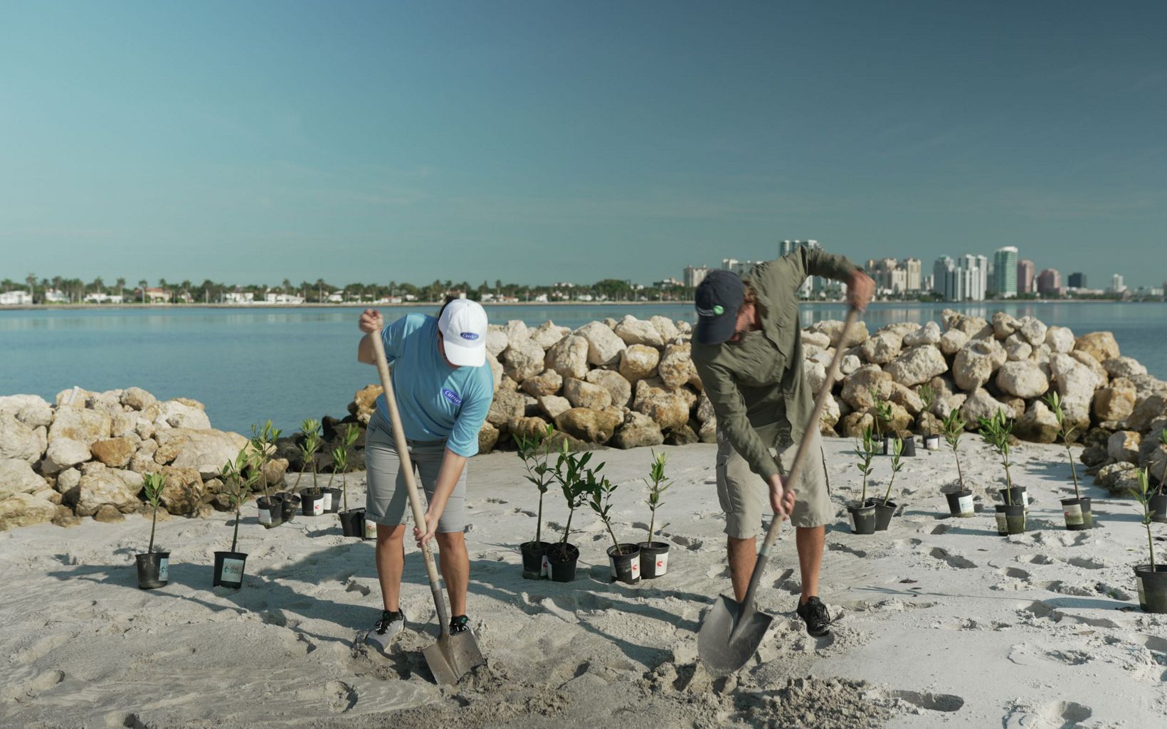 
                
                  Planting Mangroves Essential vegetation was installed at the Palm Beach Resilient Island in Lake Worth Lagoon.
                  © Michael Landsberg
                
              
