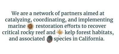 Graphic that reads: We are a network of partners aimed at catalyzing, coordinating, and implementing marine restoration efforts to recover critical rocky reef and kelp forest habitats, and associated species in California.