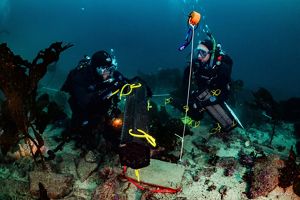 Divers scouting for new outplanting sites, monitoring, and outplanting abalone.