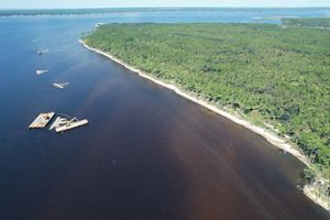 Florida Oyster Reef.