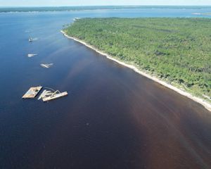 Florida Oyster Reef.