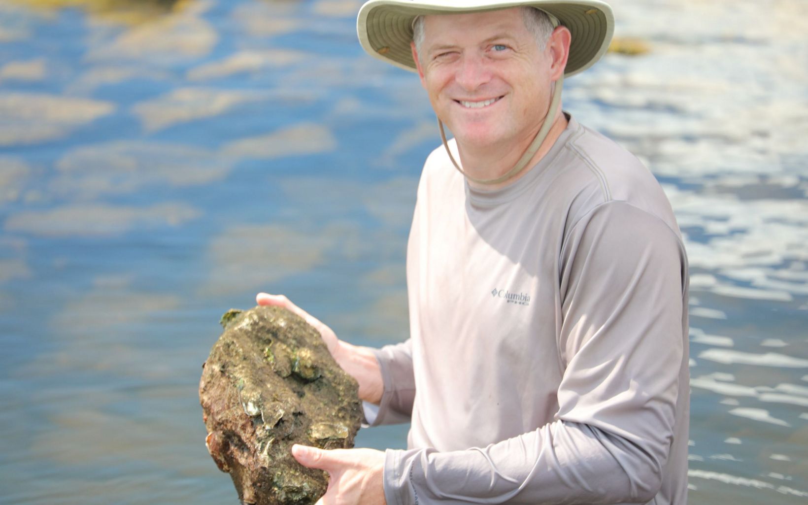 A man standing in waist-deep water holds up a rock that has oysters clinging to it.
