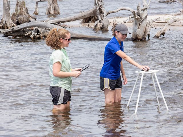 Two female oyster restoration workers side by side knee deep in the bay water conduct scientific monitoring.