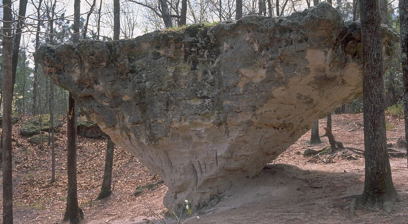 An immense rock in a forest clearing.