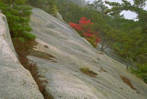 A smooth rocky slab on a mountain side.