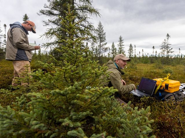 research partners in a bog with a laptop and other monitoring equipment.
