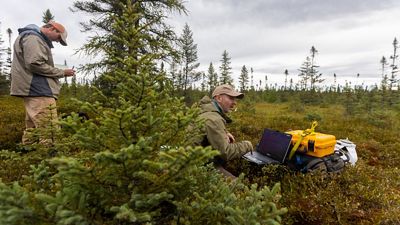 Natural Climate Solutions: How nature can fight climate change