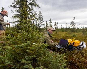 Scientists standing in a peatland with monitoring equipment.