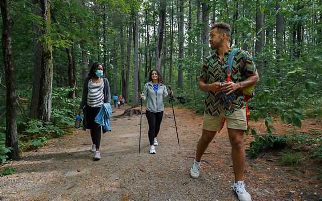 Three people hike on a flat trail in the woods.