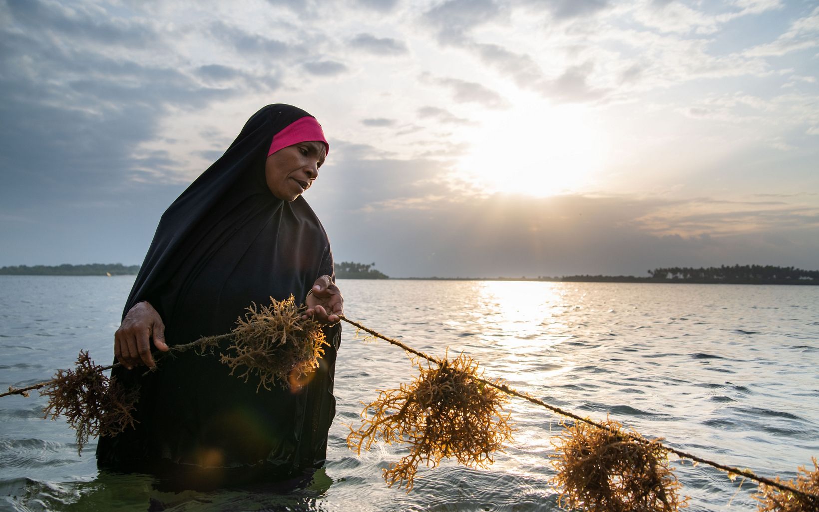 a woman holding seaweed in the ocean