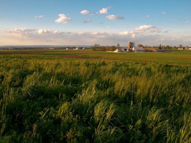 A farm is surrounded by a vast green field.