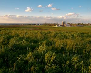 A farm is seen in the distance behind a field with long green grass.