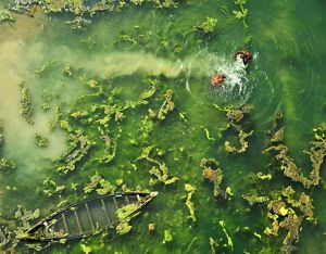 Two swimmers enjoy the water. West Bengal, India.