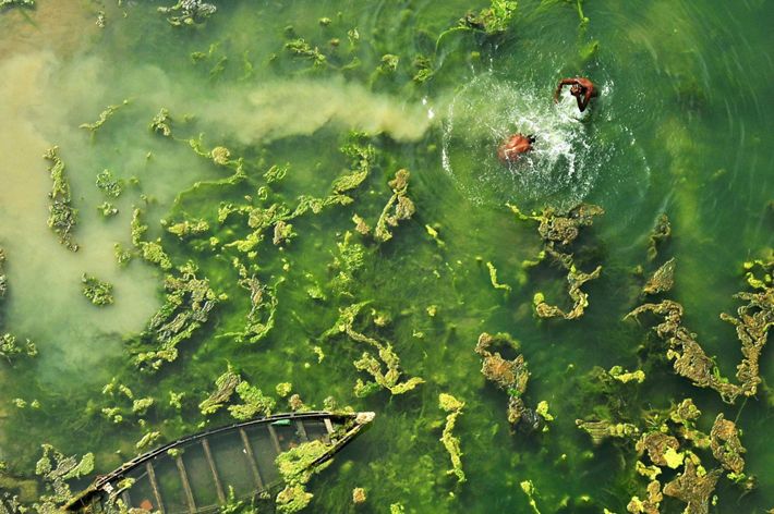 Two swimmers enjoy the water. West Bengal, India.