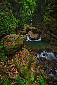 A small waterfall and stream tumbles alongside mossy rocks.