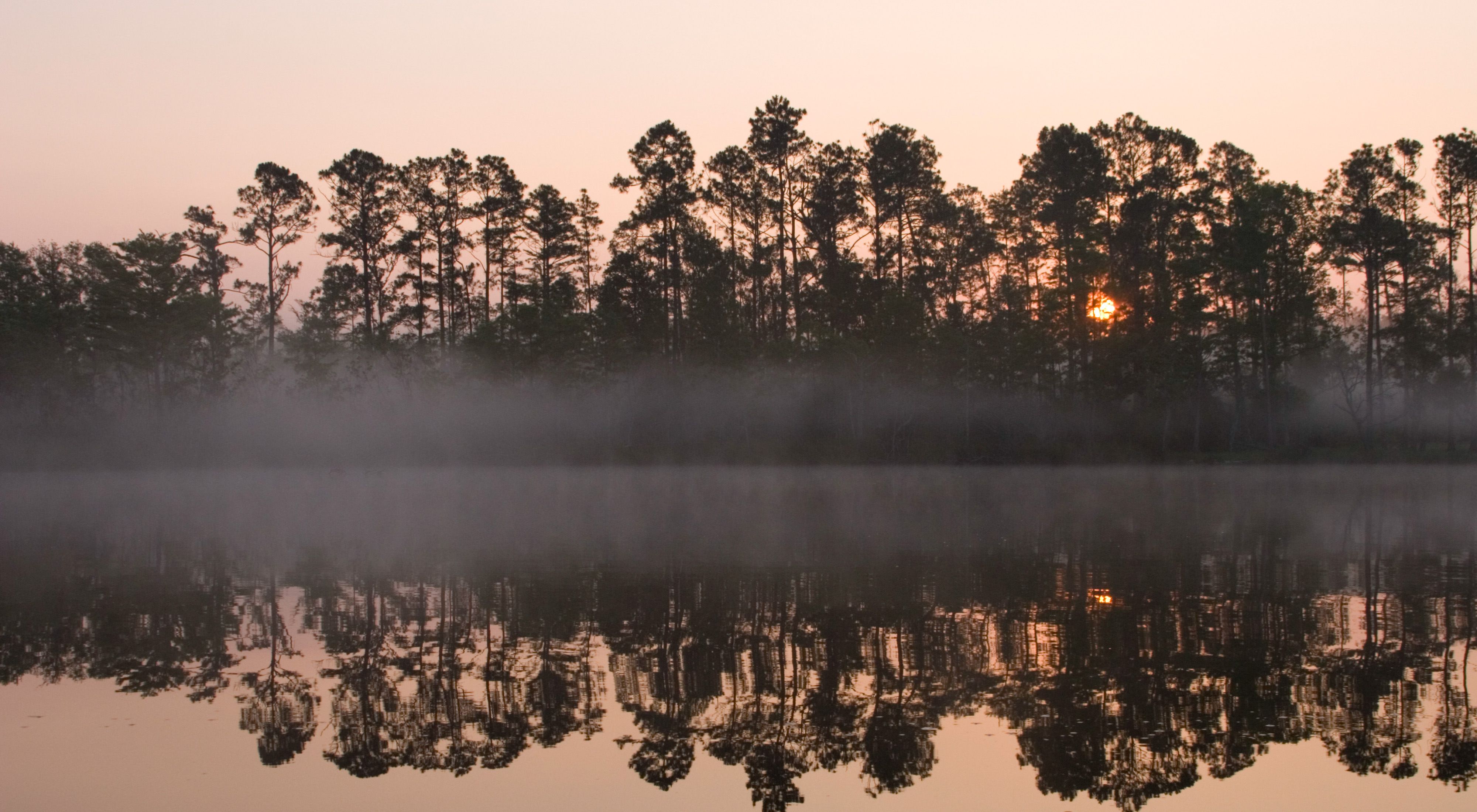 The Betty and Crawford Rainwater Perdido River Nature Preserve runs through Florida and Alabama.