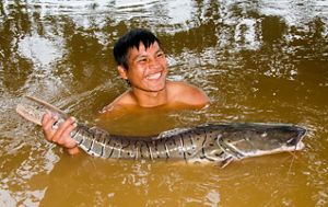 A Kichwa man holds a grey fish with both hands, inside a river.