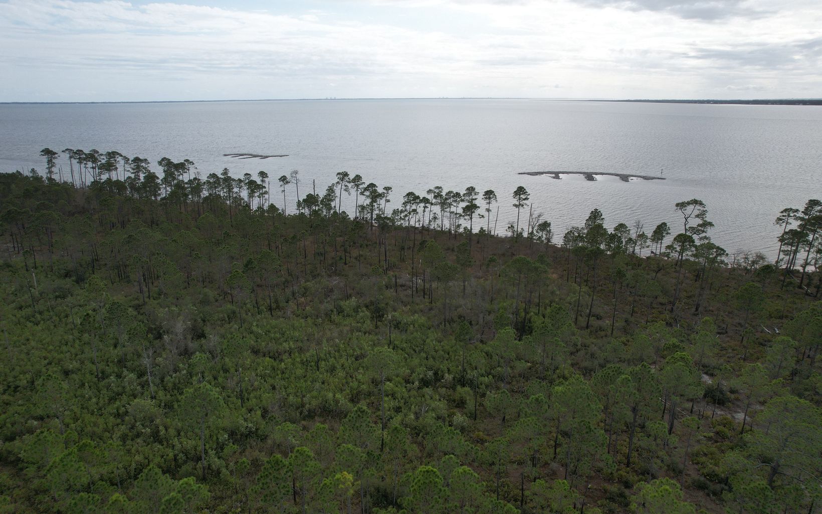 Aerial view of newly-constructed reefs #9 and #10 as seen from the lush green shoreline.