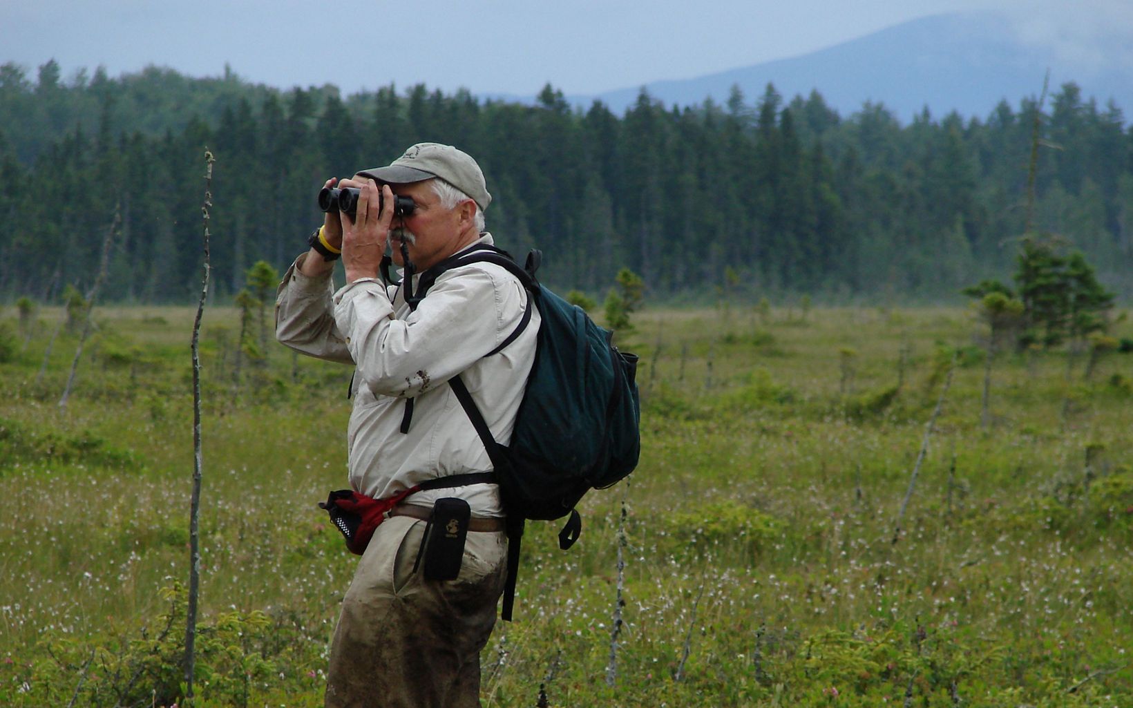 A hiker standing in a marsh looks through binoculars.