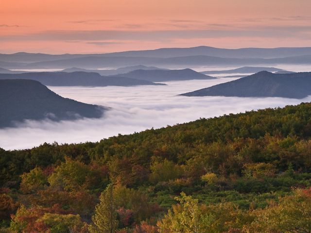 Mountain range of fall-colored forests with fog winding throughout.
