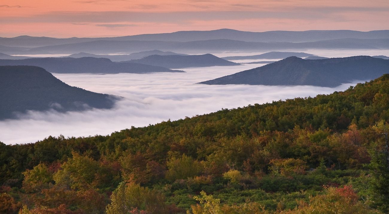 A view of the Appalachian Mountains covered in early morning fog.