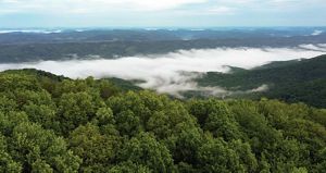 White clouds emerge from a forested valley.