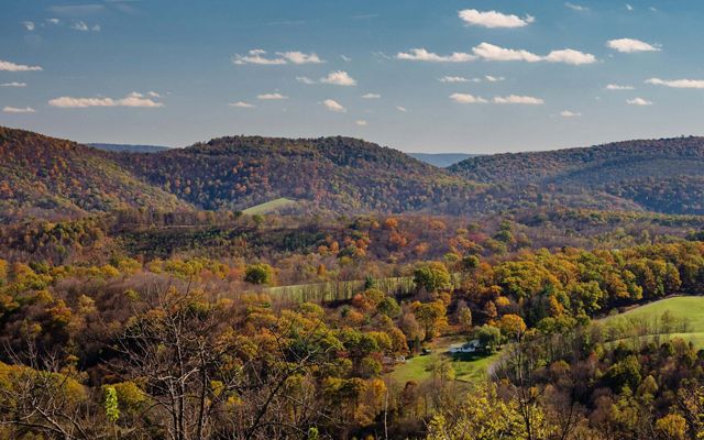 A view of rolling green hills and countless trees with small houses in the green grass.
