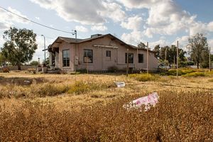 Before: a house surrounded by weeds and few trees.