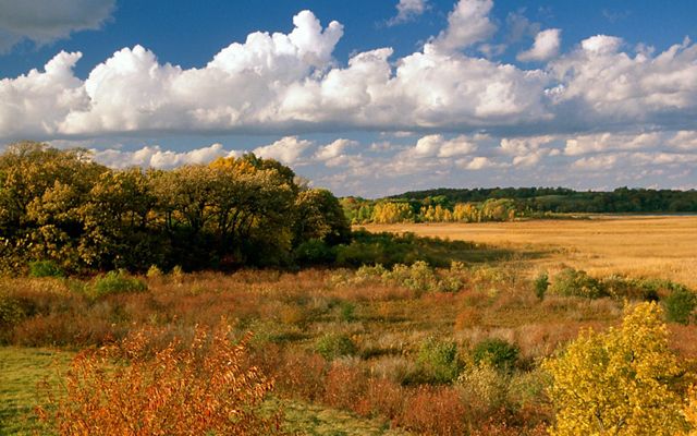 Fall colors the wetlands, forests and rolling hills at Pickerel Lake Fen in red, yellow and orange with blue sky and puffy white clouds overhead.