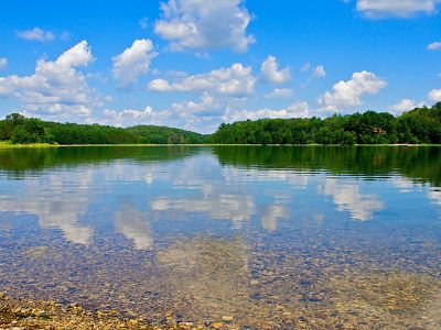 Beautiful clear blue lake with rocky shoreline in foreground, green forest and wetlands in distance with blue sky and puffy clouds.