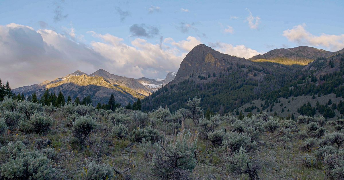 Tackling Climate Change in Idaho | The Nature Conservancy