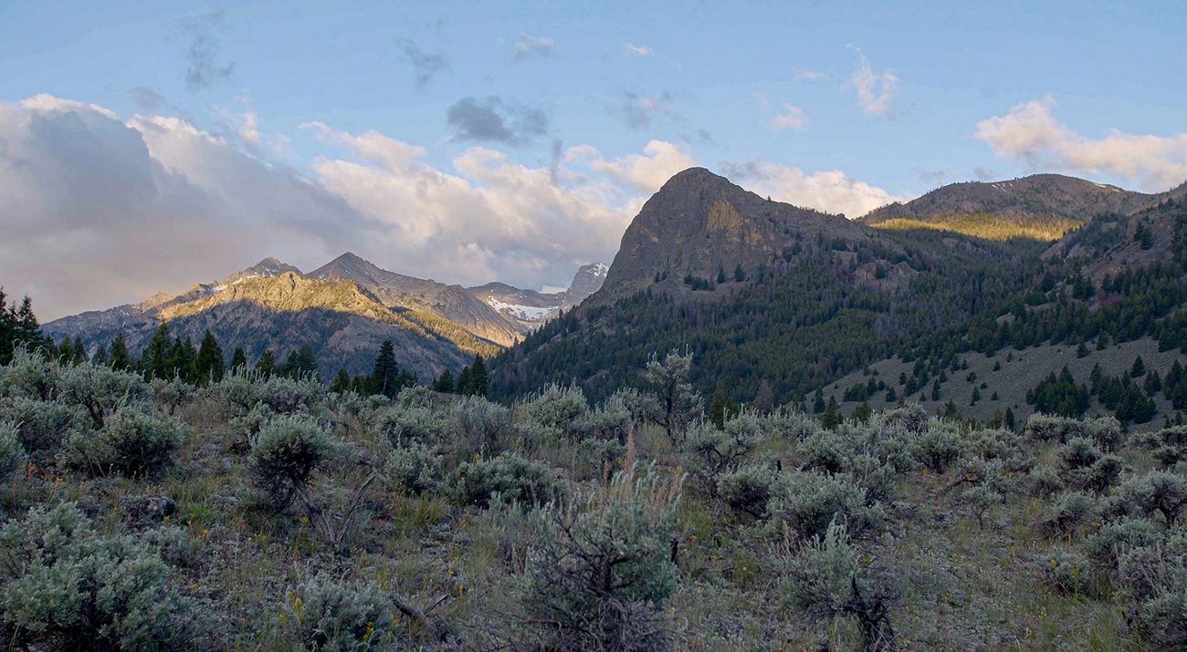 Mountains in distance covered with scrubby plants and some evergreen trees with sagebrush in the foreground.
