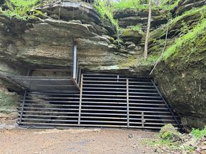 Cave gate.