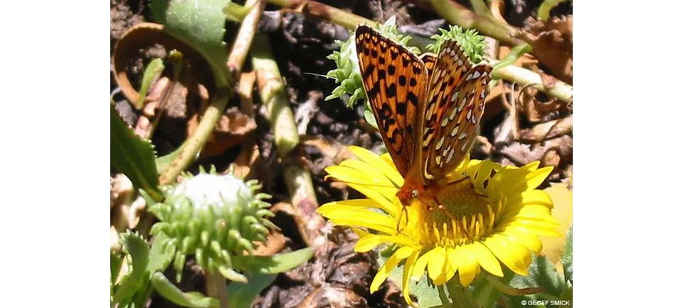 Point Reyes National Seashore: A Path Forward