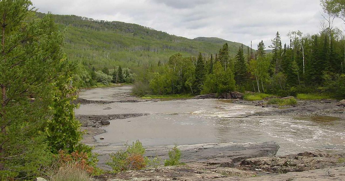 The Pigeon River Shores
