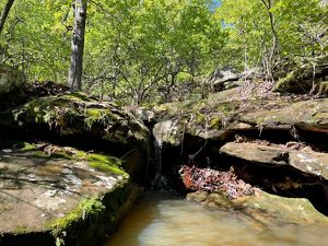 Water runs from the edge of a rock formation into a shallow pool below.