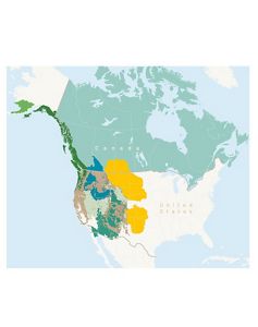 A map of the western U.S. and Canada.